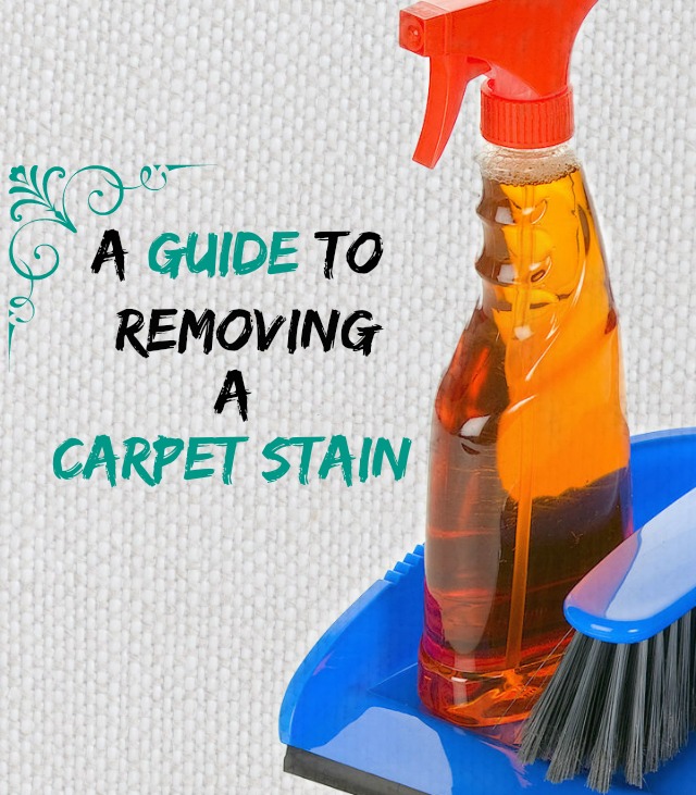 A Guide to Removing a Carpet Stain @homelifeabroad.com #carpetstain #carpet #cleaningtips