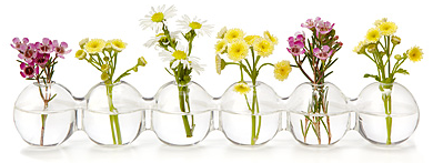 Caterpillar Bud Vase @homelifeabroad.com