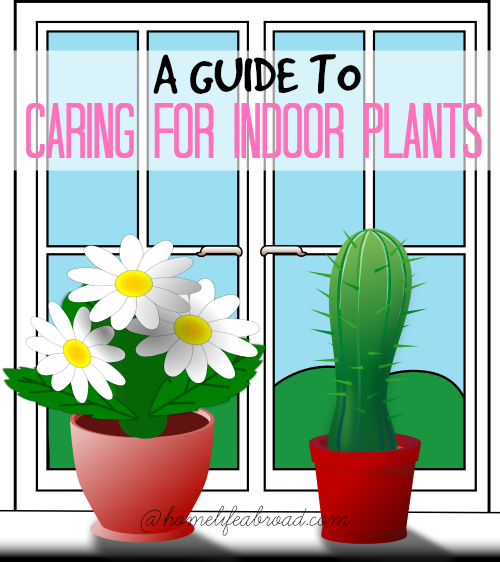 A Guide to Caring for Indoor Plants @homelifeabroad.com