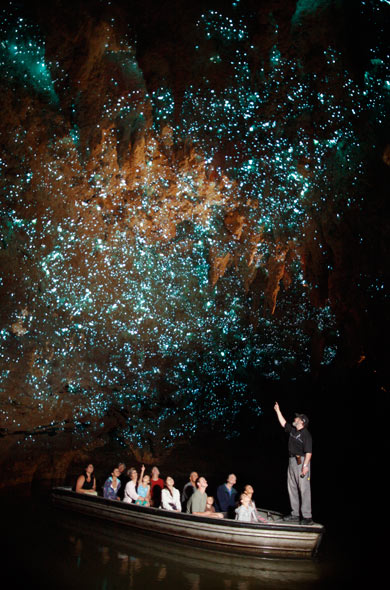 Waitomo Glowworm Caves