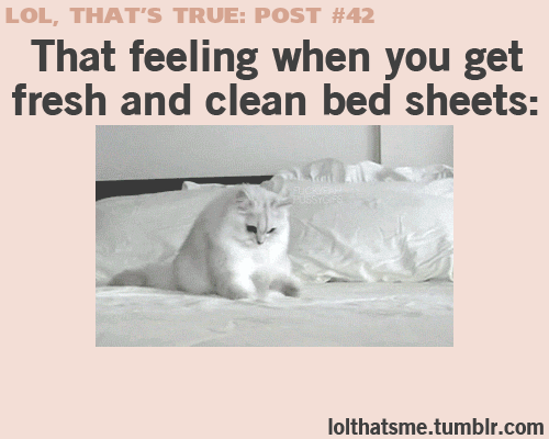 That feeling when you have new bed sheets! Freshening up your house for the new year @homelifeabroad.com