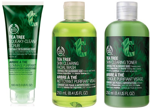 Body Shop