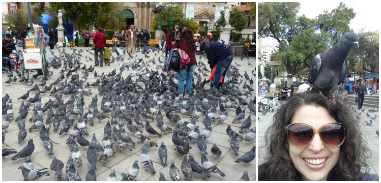Pigeons Plaza Murillo, La Paz, Bolivia @homelifeabroad.com