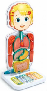 Smart Anatomy - Interactive Human Body