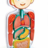 Smart Anatomy – Interactive Human Body