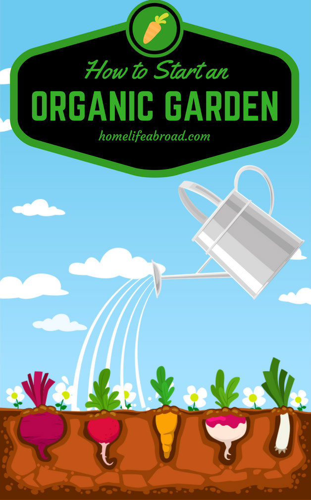 How to Start Your Own Organic Garden #gardening #vegetables #organic @homelifeabroad.com