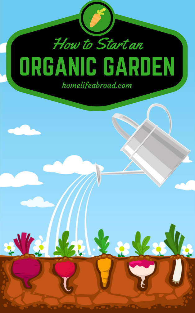 How To Start Your Own Organic Garden Home Life Abroad