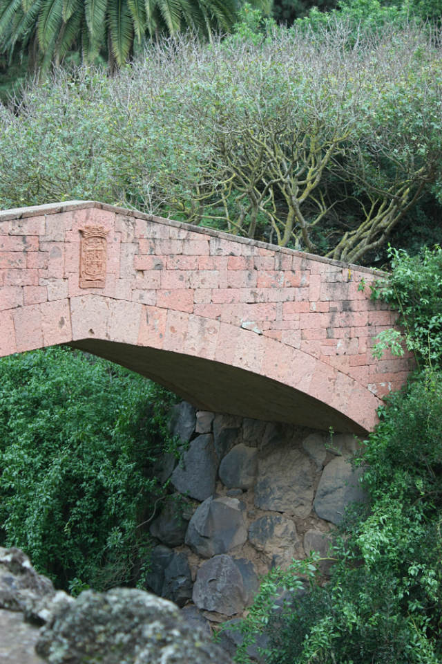 Gran Canaria Botanical Garden Lizard Bridge
