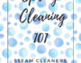 Spring Cleaning 101 - Steam Cleaner