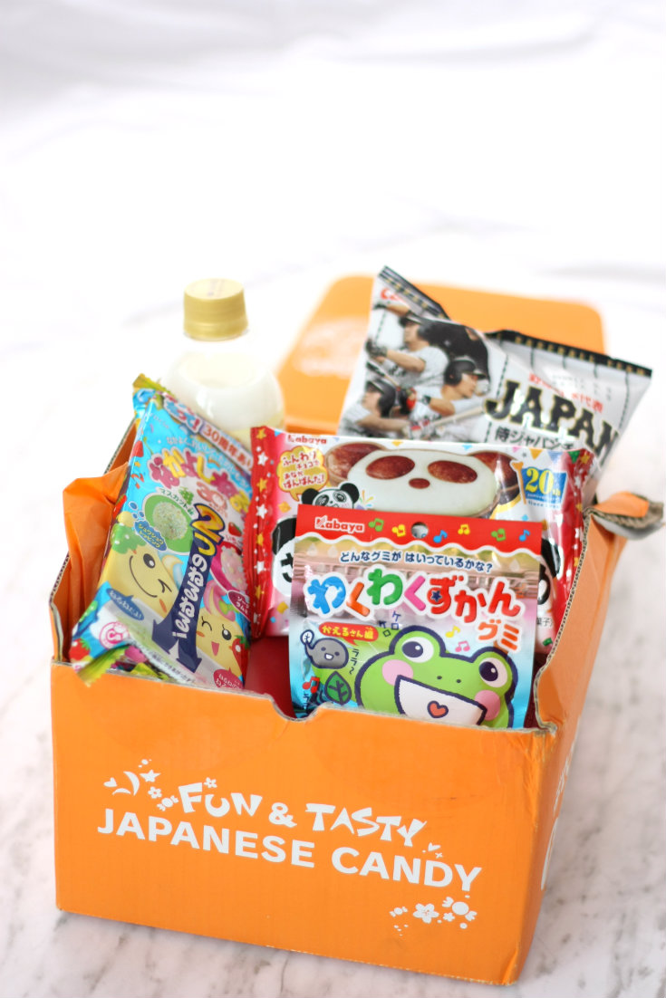 Tokyo Treat Japanese Candy Box Review - Super Cute Kawaii!!