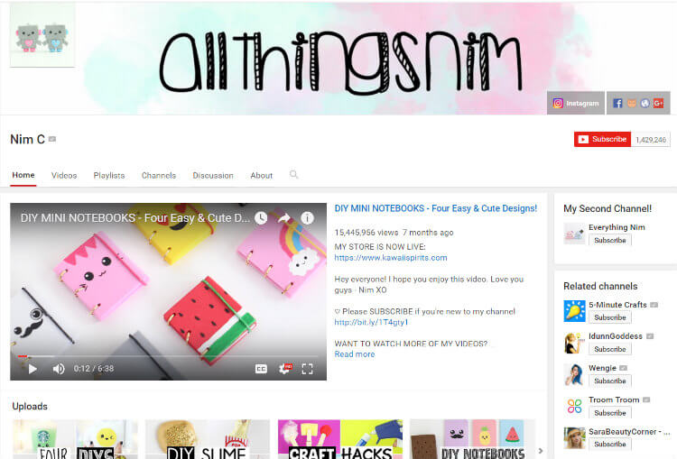 NimC Youtube DIY tutorials