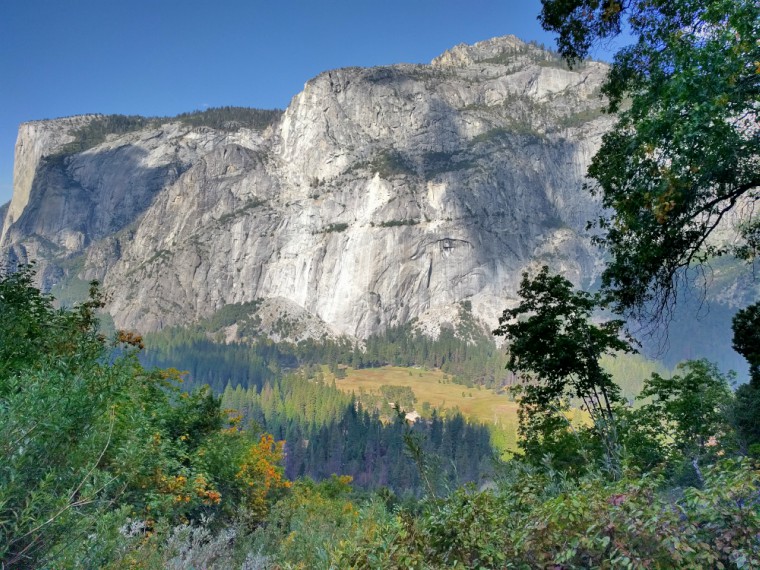 #yosemite #yosemitenationalpark #california #travel #nature