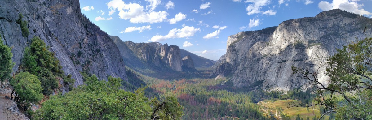 #yosemite #yosemitenationalpark #california #travel #nature