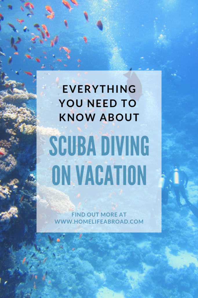 Snorkeling vacation coming up? We break down everything you need to know so your first dive is exhilarating (and safe)! #scuba #scubadiving #diving #vacation #travel #tourism