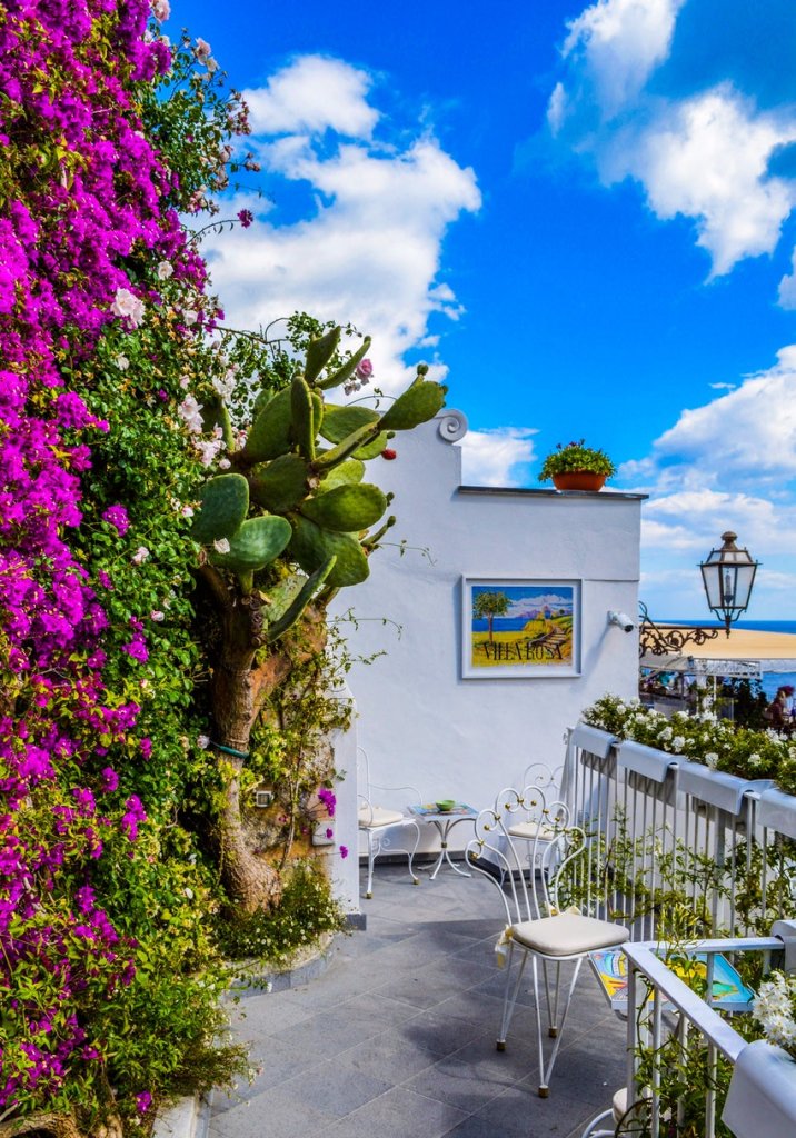 colorful balcony garden